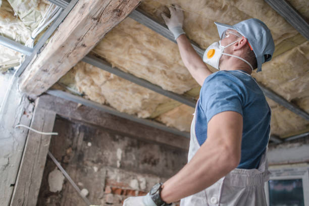Best Commercial Insulation in Esko, MN