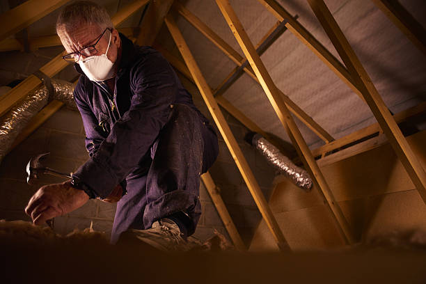 Best Specialty Insulation in Esko, MN